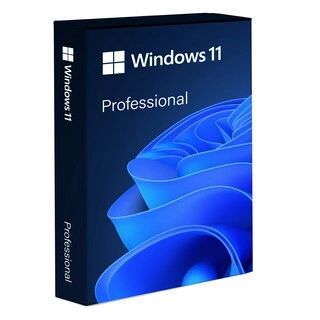 Windows 11 Pro Lisanslama