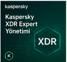 Kurs Programı